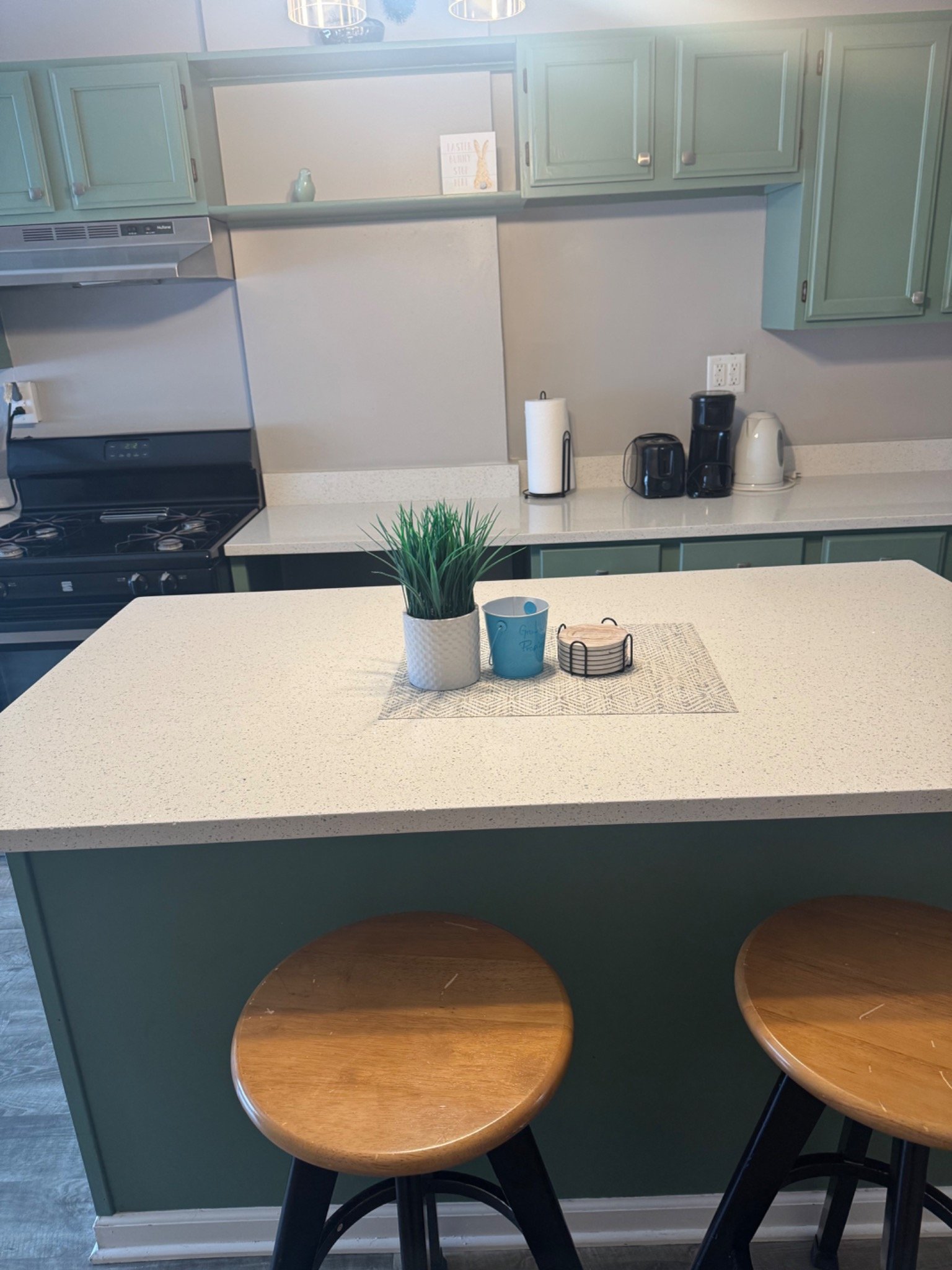 Carefully cleaned kitchen with clear counters