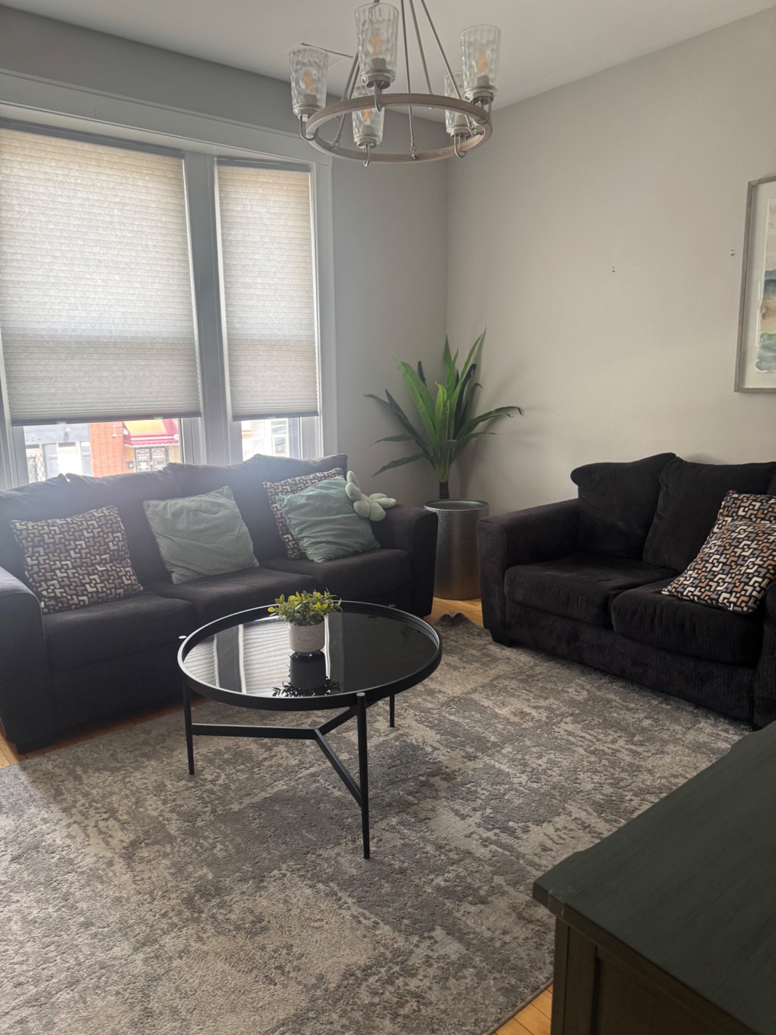 Freshly cleaned and arranged living room